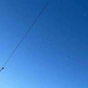 ヒメ日記 2025/12/30 10:03 投稿 武田 まゆみ ベストマダム