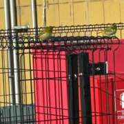 ヒメ日記 2026/01/25 10:02 投稿 武田 まゆみ ベストマダム