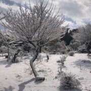 ヒメ日記 2026/02/09 08:02 投稿 武田 まゆみ ベストマダム