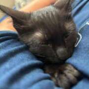 ヒメ日記 2026/02/09 12:59 投稿 武田 まゆみ ベストマダム