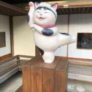 ヒメ日記 2026/03/02 08:15 投稿 武田 まゆみ ベストマダム