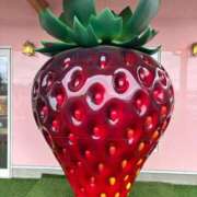 ヒメ日記 2026/03/03 10:02 投稿 武田 まゆみ ベストマダム