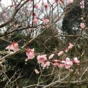 ヒメ日記 2026/03/05 09:31 投稿 武田 まゆみ ベストマダム