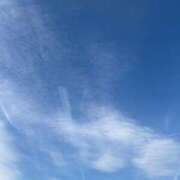 ヒメ日記 2026/03/06 07:43 投稿 武田 まゆみ ベストマダム