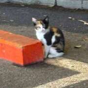 ヒメ日記 2026/03/06 13:04 投稿 武田 まゆみ ベストマダム