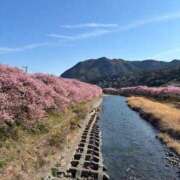 ヒメ日記 2026/03/06 18:11 投稿 武田 まゆみ ベストマダム