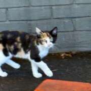 ヒメ日記 2026/03/07 14:20 投稿 武田 まゆみ ベストマダム