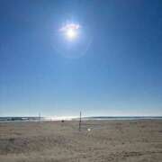 ヒメ日記 2026/03/08 09:02 投稿 武田 まゆみ ベストマダム