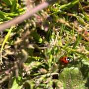 ヒメ日記 2026/03/17 13:43 投稿 武田 まゆみ ベストマダム