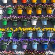 ヒメ日記 2026/03/18 10:12 投稿 武田 まゆみ ベストマダム