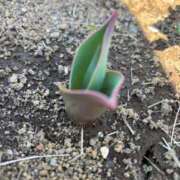 ヒメ日記 2026/03/19 14:59 投稿 武田 まゆみ ベストマダム