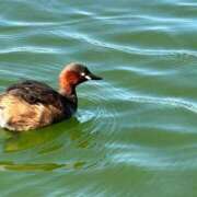 ヒメ日記 2026/03/20 11:37 投稿 武田 まゆみ ベストマダム