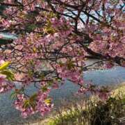 ヒメ日記 2026/03/25 12:19 投稿 武田 まゆみ ベストマダム