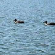 ヒメ日記 2026/03/27 08:54 投稿 武田 まゆみ ベストマダム