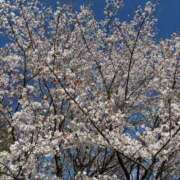 ヒメ日記 2026/04/01 10:16 投稿 武田 まゆみ ベストマダム