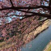 ヒメ日記 2026/04/02 07:30 投稿 武田 まゆみ ベストマダム