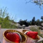 ヒメ日記 2026/04/08 09:02 投稿 武田 まゆみ ベストマダム