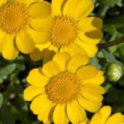 ヒメ日記 2026/04/10 12:09 投稿 武田 まゆみ ベストマダム