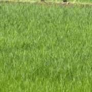 ヒメ日記 2026/05/29 17:31 投稿 武田 まゆみ ベストマダム