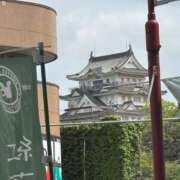 ヒメ日記 2026/06/12 16:15 投稿 武田 まゆみ ベストマダム