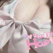 ヒメ日記 2025/06/09 17:38 投稿 らら 激安ソープの殿堂　ボイン・ホーテ