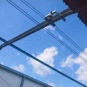 ヒメ日記 2025/05/28 09:44 投稿 ふう ゴールドフィンガー