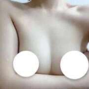 ヒメ日記 2025/12/15 15:02 投稿 みい 東京リップ 池袋店