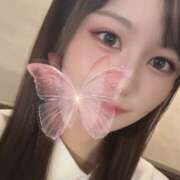 レンカ チラッ|ω-｀*) 姫路ラビット