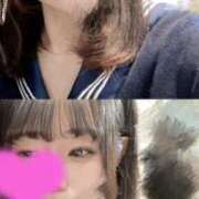 ヒメ日記 2025/07/17 14:41 投稿 ゆき ラブライフ所沢川越