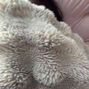 ヒメ日記 2025/09/07 09:44 投稿 ゆき ラブライフ所沢川越