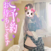 ヒメ日記 2025/09/27 12:02 投稿 ゆんあ☆現役女子大生超可愛いＡＦ PREMIUM萌え可愛いチョコレート～全てのステージで感動の体験を～