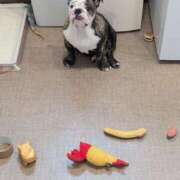 ヒメ日記 2025/09/13 13:40 投稿 つばさ フローラル