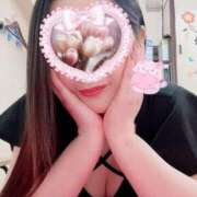 ヒメ日記 2025/06/28 07:57 投稿 一条あんり セクシーキャット 小田原店