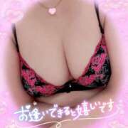 ヒメ日記 2025/08/11 09:30 投稿 一条あんり セクシーキャット 小田原店