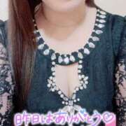 ヒメ日記 2025/09/03 09:30 投稿 一条あんり セクシーキャット 小田原店