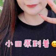 ヒメ日記 2025/09/09 08:49 投稿 一条あんり セクシーキャット 小田原店