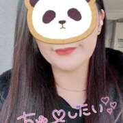 ヒメ日記 2025/11/25 09:16 投稿 一条あんり セクシーキャット 小田原店