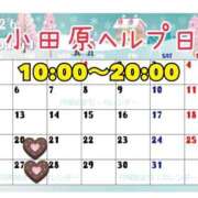 ヒメ日記 2026/01/19 11:08 投稿 一条あんり セクシーキャット 小田原店