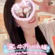 ヒメ日記 2026/01/24 10:06 投稿 一条あんり セクシーキャット 小田原店