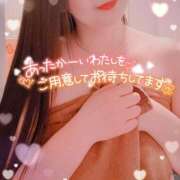 ヒメ日記 2026/01/26 09:30 投稿 一条あんり セクシーキャット 小田原店