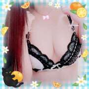 ヒメ日記 2026/01/30 11:45 投稿 一条あんり セクシーキャット 小田原店