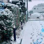 ヒメ日記 2026/02/08 08:31 投稿 一条あんり セクシーキャット 小田原店