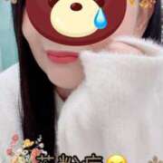 ヒメ日記 2026/02/17 10:01 投稿 一条あんり セクシーキャット 小田原店