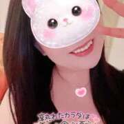 ヒメ日記 2026/02/21 09:51 投稿 一条あんり セクシーキャット 小田原店
