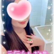 ヒメ日記 2026/02/24 09:42 投稿 一条あんり セクシーキャット 小田原店