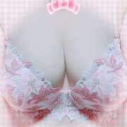 ヒメ日記 2026/03/01 13:02 投稿 一条あんり セクシーキャット 小田原店