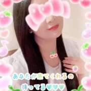 ヒメ日記 2026/03/02 09:45 投稿 一条あんり セクシーキャット 小田原店