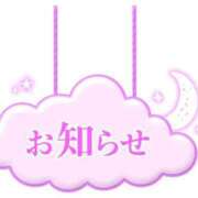 ヒメ日記 2026/04/17 09:32 投稿 一条あんり セクシーキャット 小田原店