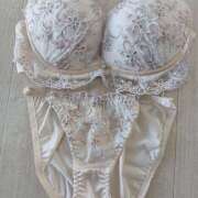 ヒメ日記 2025/12/29 09:04 投稿 京都 ベニバナ