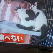ヒメ日記 2026/06/05 19:24 投稿 渋谷 ベニバナ